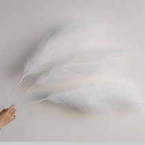 대형 화분 39 인치 팜파스 잔디 크고 풍성한 꽃다발 웨딩 파티 홈 인테리어 식물 큰 100cm 리드 보헤미안, 05 5-white_01 1-pcs