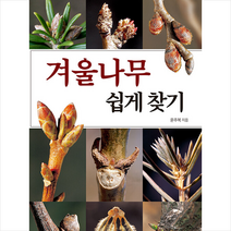 겨울나무 쉽게 찾기 + 미니수첩 증정, 윤주복, 진선BOOKS