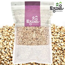 토종마을 국산 홍화씨 600g, 단일옵션