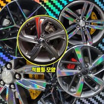 쏘나타뉴라이즈 17인치 레이저카본홀로그램 휠스티커