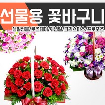 [젠틀맨플라워] /꽃바구니/옵션가NO/전국최저가/전국3시간이내당일발송/전국꽃배달서비스/화이, 꽃바구니선택:20.향기는사랑을남기고