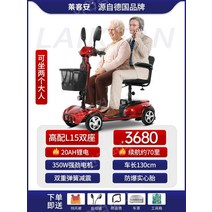노인전동차 전동카 어르신 소형전기차, 24V, 2인승20Ah 리튬배터리70마일  300W