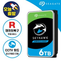 [ 씨게이트 공식스토어 ] 스카이호크 CCTV 하드디스크 감시카메라 CCTV용 HDD, 6TB (6테라바이트)