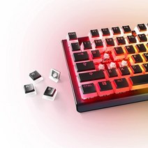 스틸시리즈 SteelSeries 프리즘캡 더블 샷 퍼딩 스타일 키캡 기계식 키보드 블랙 가성비 추천 미국직구, Black_Keycaps