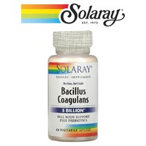 솔라레이 유산균 Bacillus coagulans 치커리 이눌린 뿌리 50억 CFU 60 베지캡슐