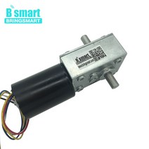 Bringsmart BLDC 모터 더블 샤프트 웜기어 미니 자동 잠금 브레이크 브러시리스 터보 웜 감속기 12V 24V, [01] 12V 8rpm