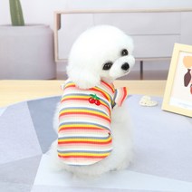 강아지옷 고양이옷 데일리 티셔츠 외출복 애견옷 실내복, [1-4] 무지개 치마