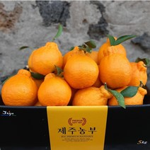 [제주농부] 산지직송 고당도 제주 한라봉, 한라봉 대과 3kg (6-10과)