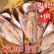 짠돌이쇼핑 반건조 우럭 1-3마리 25-35cm 외 10종 자연건조 군산직송, 2마리, 우럭(중) 30cm