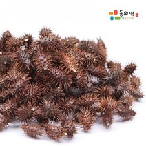 동의식품 국내산 창이자 도꼬마리 200g, 단품, 단품