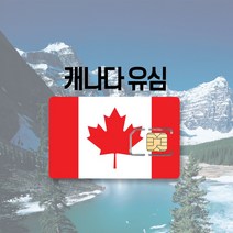 캐나다 유심 LTE 완전무제한 하와이 미국 멕시코 티모바일 AT&T 여행 출장 유심칩, 티모바일 5GB, 7일