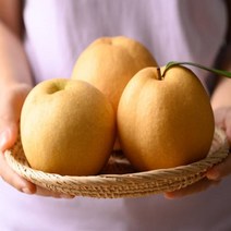 과일 (특등급) 오늘출고 배7.5KG 배선물세트 과일배 나주배 도라지배즙 배도라지즙 배숙 배도라지 배즙만들기 서양배 배즙효능 [WBB8D58], 쿠팡 7.5KG, 쿠팡 본상품선택