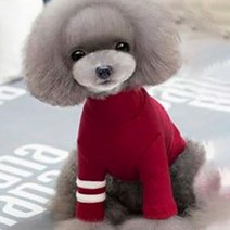 강아지 고양이 두줄 포인트 폴라 티셔츠 E020, 레드 XL