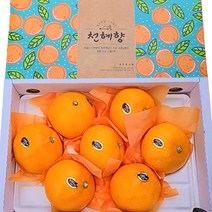 프리자연 제주 천혜향 프리미엄 특품 고당도 선물세트 3kg 5kg, 특품 천혜향 중대과 5KG(17-25과)