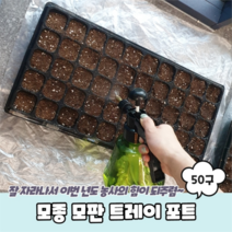 모종 모판 트레이 포트 50구 모종판/모종트레이/모판/육묘상자/육묘트레이