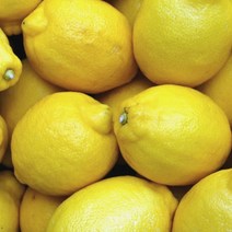 레몬 생과 중과 대과 특대과 썬키스트 외, 레몬 대과(120g), 30개
