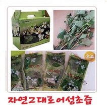 어성초즙 60팩(115ml) 어성초, (A)어성초즙60팩
