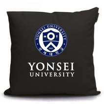 연세대 로고 엠블럼 쿠션 등쿠션 소파 베게 대학교 학원 학생 선물 판촉물 기념품 사은품, 45cm, 패턴 3