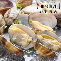 통영 왕바지락 해감 바지락 술찜 칼국수 조개탕, 바지락 1kg