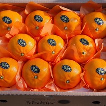 설명절과일선물 레드향 3kg 천혜향3kg 한라봉3kg(대과) 엣지있는 설명절과일선물, 천혜향 3kg(9~12수 대과 )