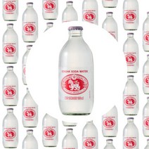 WANGNOI 싱하 소다 워터 325ml x 48개, 상세페이지 참조