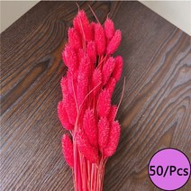 미니화분 자연 말린 꽃 토끼 꼬리 팜파스 갈대 꽃다발 웨딩 파티 장식 식물 3 개 구매시 1 무료 제, 22 B6