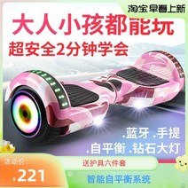 전동휠 성인용 10인치 호버보드 전동 투휠 밸런스 LED, E