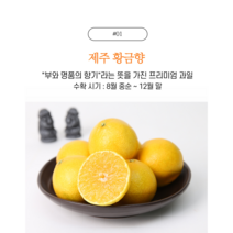 (사은품증정)제주귤 황금향 프리미엄 과일 선물세트, 1박스, 3KG_소과(가정용)