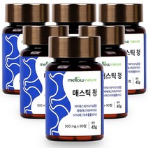 [추석10%할인쿠폰] 멜로우네이쳐 매스틱 정, 6개, 90정