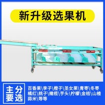 과일선별기 사과선별기 과일 선별 기계 배 대추 자동, 9 게이지 보통