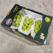 오늘의경매 고당도 샤인머스켓 망고포도 프리미엄제품, 품질보장 2kg 특 선물용 (2~3수)