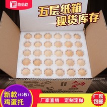 택배용 계란 포장재 폴팩 부활절 충격 방지 60, 60 쌍 버클 중간 지원  색상 상자 6 세트