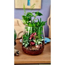 테라리움 이끼아띠 (유리정원18cm)-완제품 픽업상품 플랜테리어 유리정원 테라리움 주문제작 원데이 클래스문의