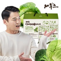 제주스 JEJU 제주 양배추브로콜리즙 3000ml, 30p, 1박스, 100ml