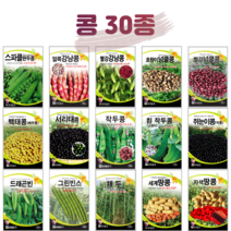 콩 씨앗 완두콩 종자 강낭콩 호랑이콩 곡류 곡물 옥수수 채소 씨 농사마트, 31. 채두 30립