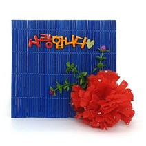 [아트공구][부엉이네226] 컬러발액자 만들기(카네이션), 상세페이지 참조