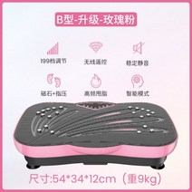 운동기구 덜덜이 가정용 피트니스 쉐이크보드 마사지 전신운동 바디슬리머 다이어트, B타입/업그레이드/로즈파우더/199레벨