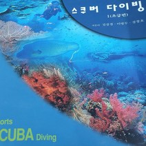 스포츠 스쿠버다이빙/씨코