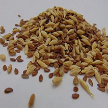 9 oz Sprouting PET Mix - A Tasteful Mix of Wheatgrass Flax and Barley Seeds. Seeds for Growing Micr, 1
