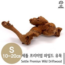 세틀 프리미엄 와일드 유목 S (10~20cm), 1개