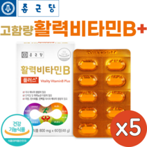 종근당 활력 비타민B 플러스 60정 고함량 수용성 비타민비 컴플렉스 온가족 패밀리 영양제 vitamin b, 60정 x 5 (10개월)