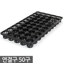 연결구 6구 대형 - 묘목 모종판 트레이 사각포트 삽목 상자 연결포트 다육포트 다육이 묘목판 육묘 모종 재배 포트 플라스틱화분, 11_세인_연결구 50구
