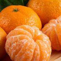 영화농산 특급 감귤 7kg 카라향 블로초 귤로장생 제주, 상세페이지 참조