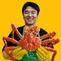 [수율보장] 명품 레드 킹크랩 1마리 포항 구룡포 영덕 울진, 킹크랩 2kg