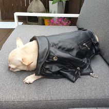 강아지 라이더자켓 가죽점퍼, 브라운