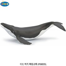 파포 (모형완구) 아기 혹등고래, 상세페이지 참조