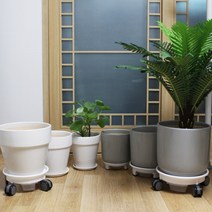 도희네화분 뉴프리미엄 도자기 백자화분 화이트컬러 그레이컬러 분갈이화분, 표준형_화이트03(로라물받이4호)