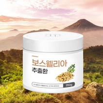 관절 보스웰리아 환 정 프랑킨센스나무 유향 유항 보수 엘라 보스 웰릭산 엘리아 뼈관절 효능 250g/통