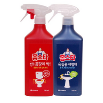홈스타 뿌리는 [곰팡이 싹+욕실세정제] 900ml, 5세트
