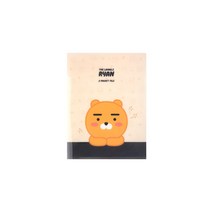 카카오프렌즈 투포켓 파일 (라이언 어피치) 클리어파일, 라이언